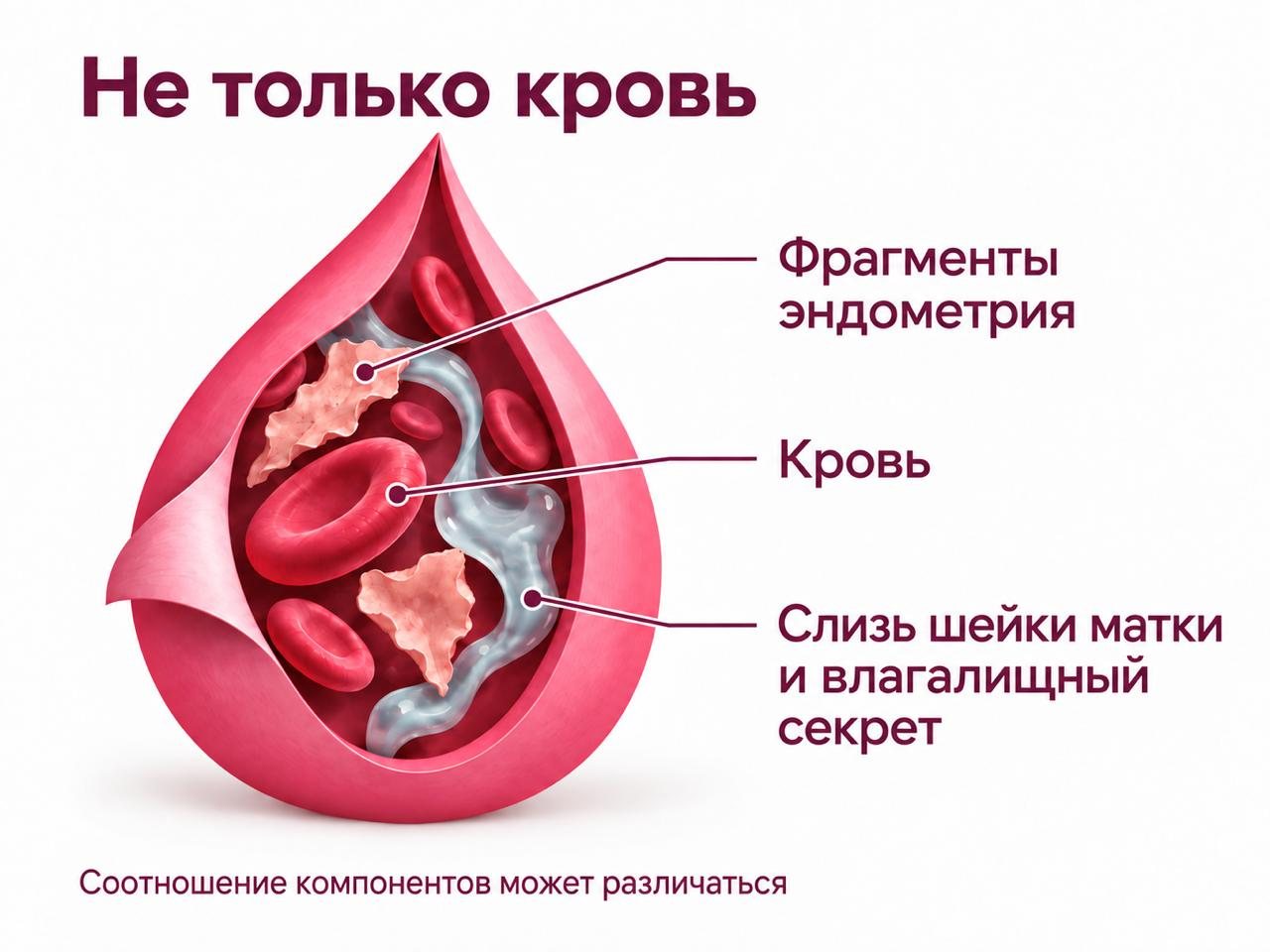 Чем менструальные выделения отличаются от обычной крови